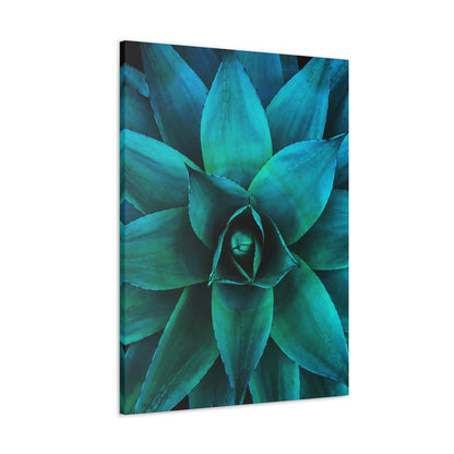 Agave 2- Jon Carrasco Curations Gardens of the World Collection