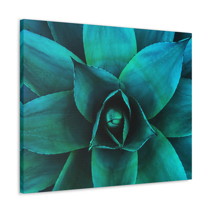 Agave 2- Jon Carrasco Curations Gardens of the World Collection