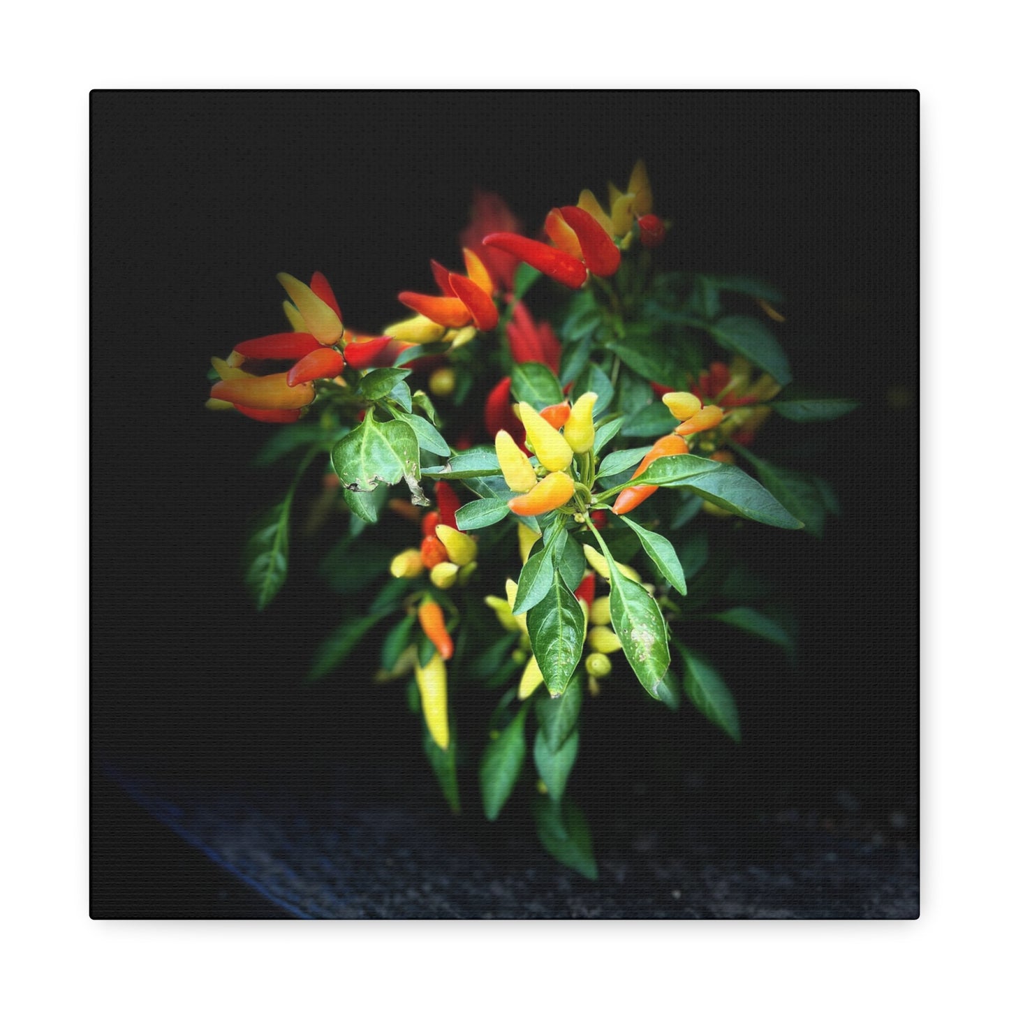 Peppers - Jon Carrasco Curations Gardens of the World Collection