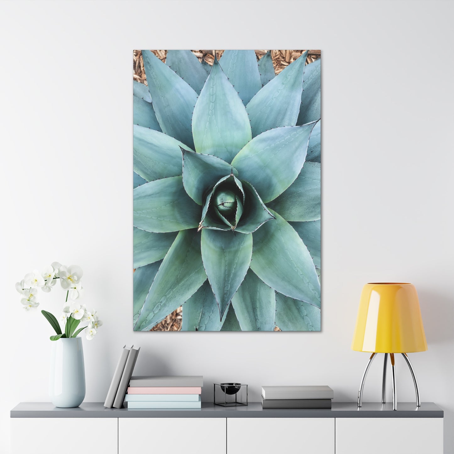 Agave 1- Jon Carrasco Curations Gardens of the World Collection