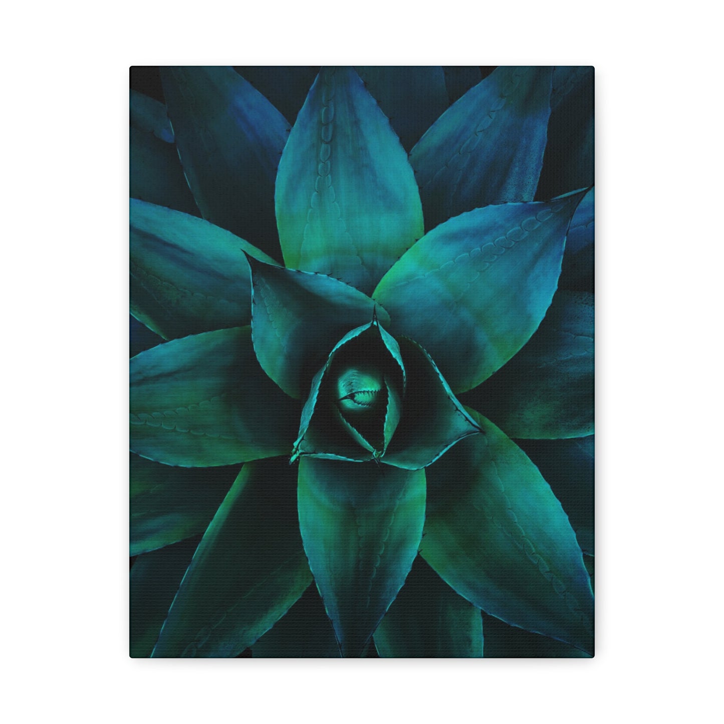 Agave 3- Jon Carrasco Curations Gardens of the World Collection