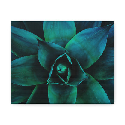 Agave 3- Jon Carrasco Curations Gardens of the World Collection